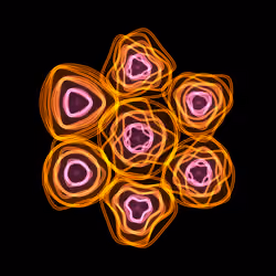 Flowers #2072