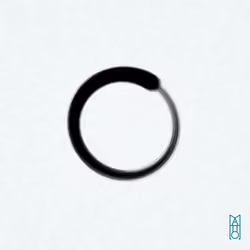 Ensō #978