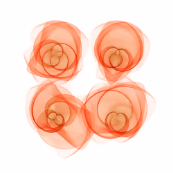 Flowers #5036