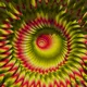 225000286