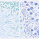 235000118