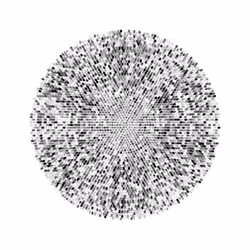 Transitions #4481