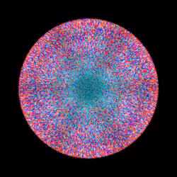 Transitions #963