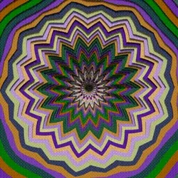 Vortex #242
