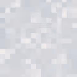 332000216