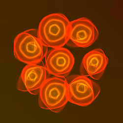 Flowers #517