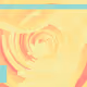 309000127