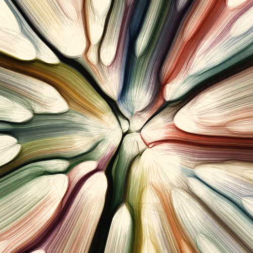 Item #96000314 Media