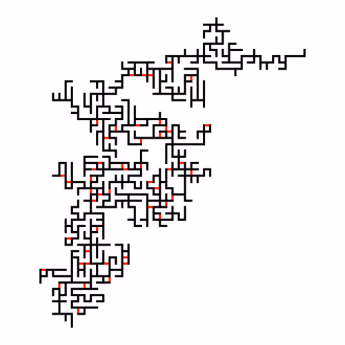 Invasion Percolation #273