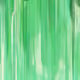 252000007