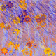 Fragments of an Infinite Field #531