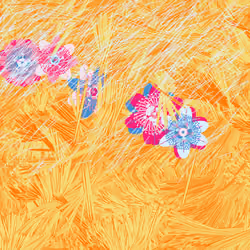 Fragments of an Infinite Field #348