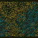 235000138
