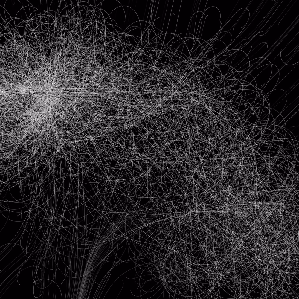Phototaxis #999