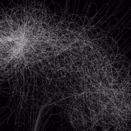 Phototaxis #999