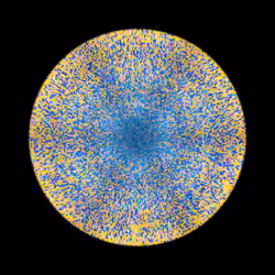 Transitions #4298