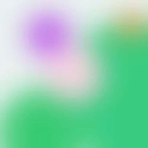 Item #170000059 Media