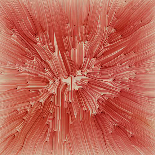 Item #271000105 Media