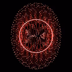 Nucleus #193