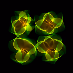 Flowers #3380