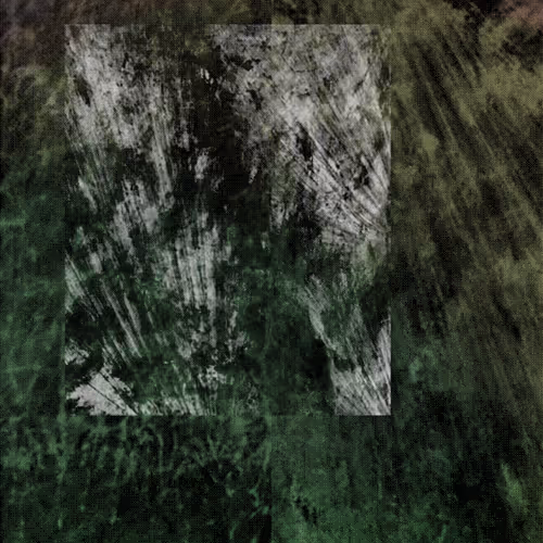 The Spring Begins With The First Rainstorm By Cole
