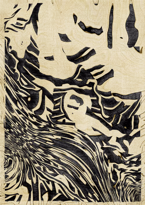 Item #304000324 Media