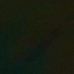 phase #25