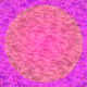 149000166