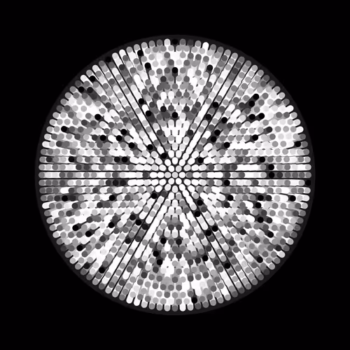 Transitions #4686