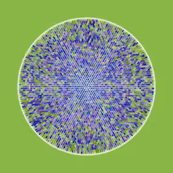 Transitions #3230