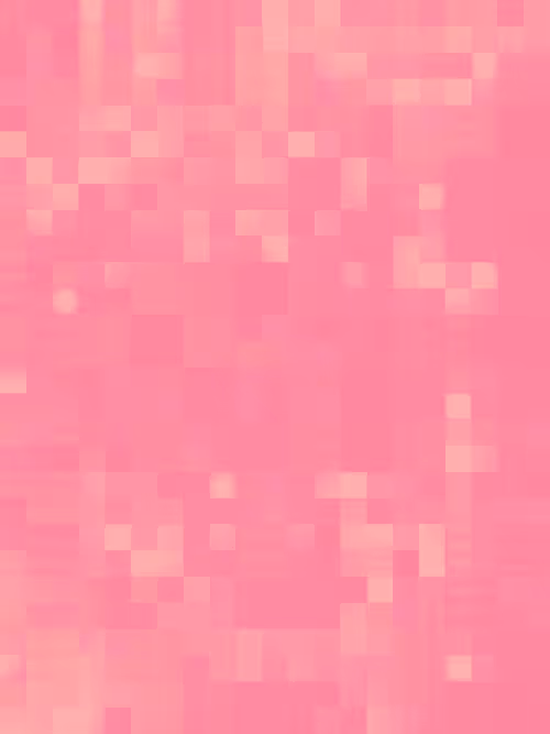 Item #332000187 Media