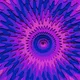 225000440