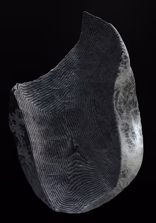 Item #327000015 Media