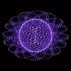 Nucleus #41