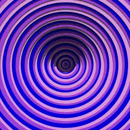 Item #225000184 Media