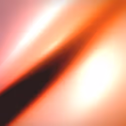 Flux #129