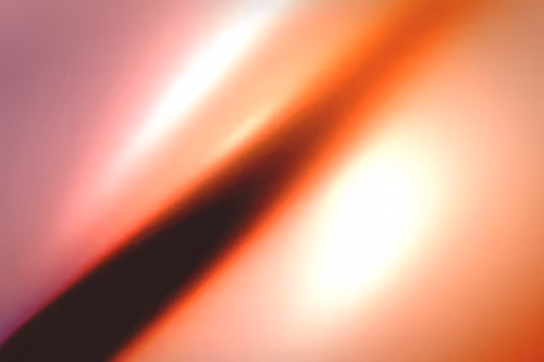 Item #296000129 Media