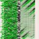 365000269