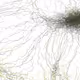 164000079