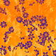 Fragments of an Infinite Field #184