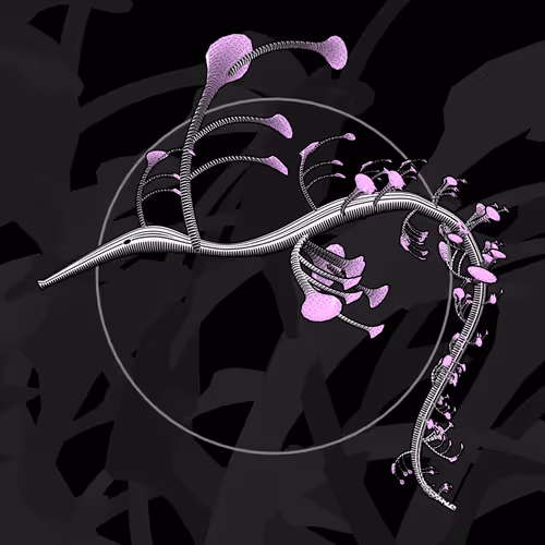 Item #160000083 Media