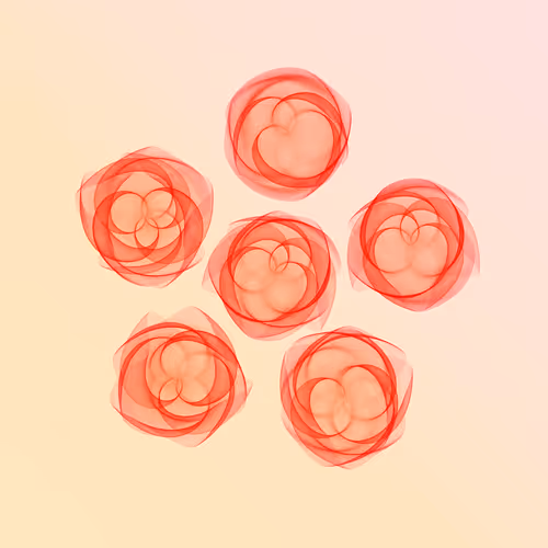 Flowers #1114