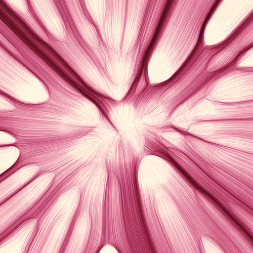 Item #96000035 Media