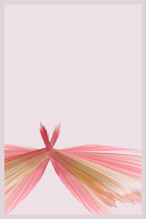 Item #361000309 Media