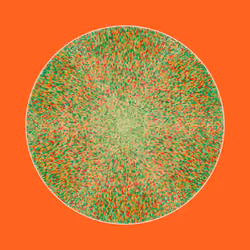 Transitions #3570
