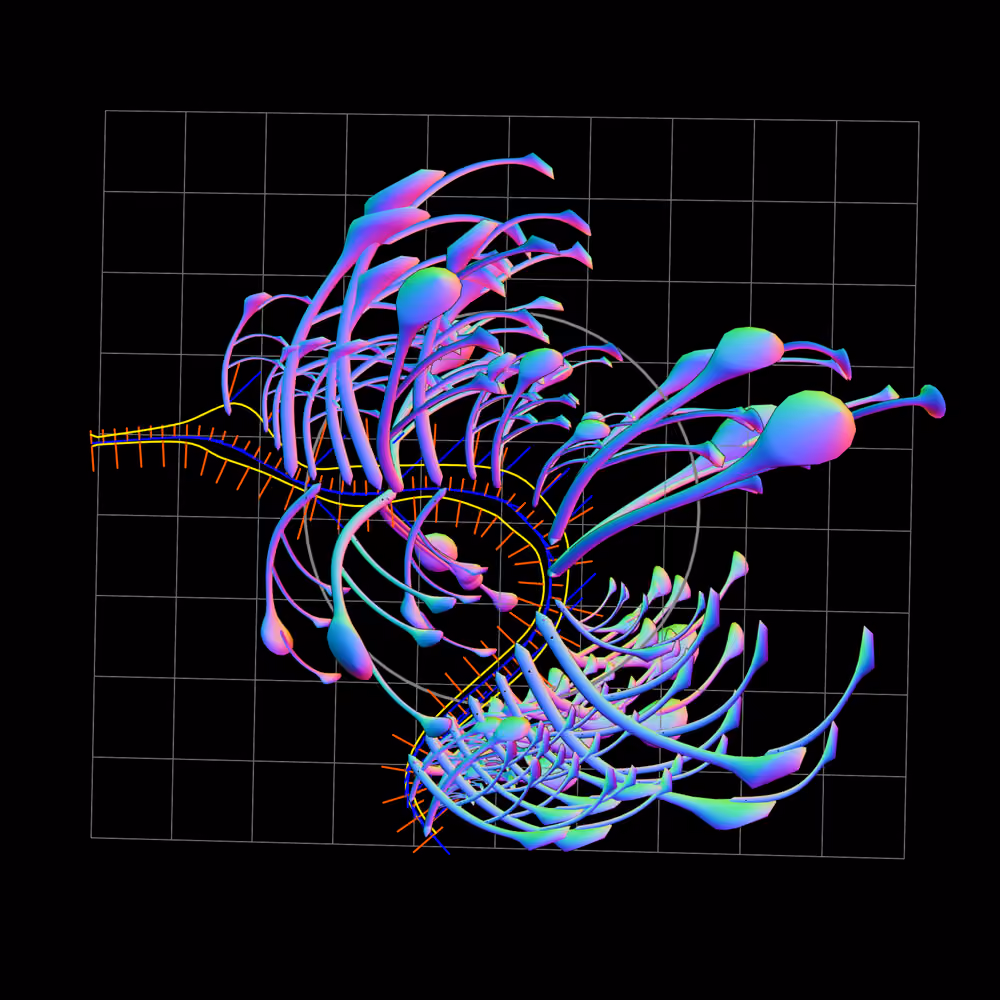Seadragons #996