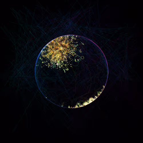 Item #178000879 Media