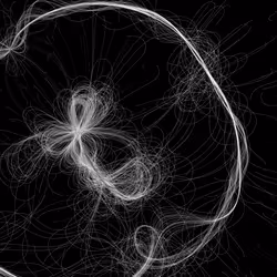 Phototaxis #369
