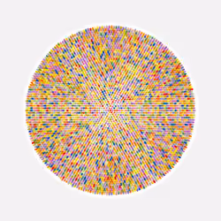 Transitions #1290