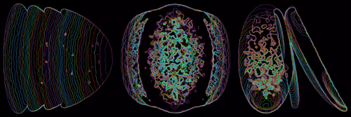 Item #302000015 Media